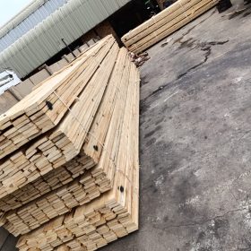 WhatsApp Image 2025-02-26 at 16.04.31